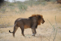 Namibia_August (98/135)